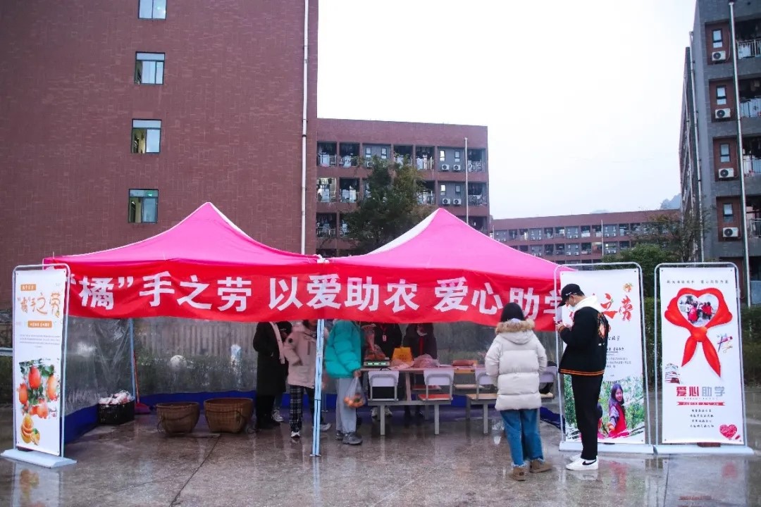 23-201222221131E3.jpg