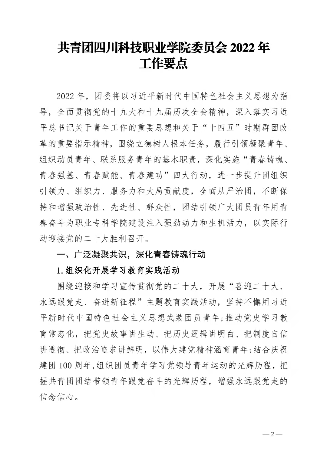 关于印发《共青团四川科技职业学院委员会 2022 年工作要点》的通知(图2)
