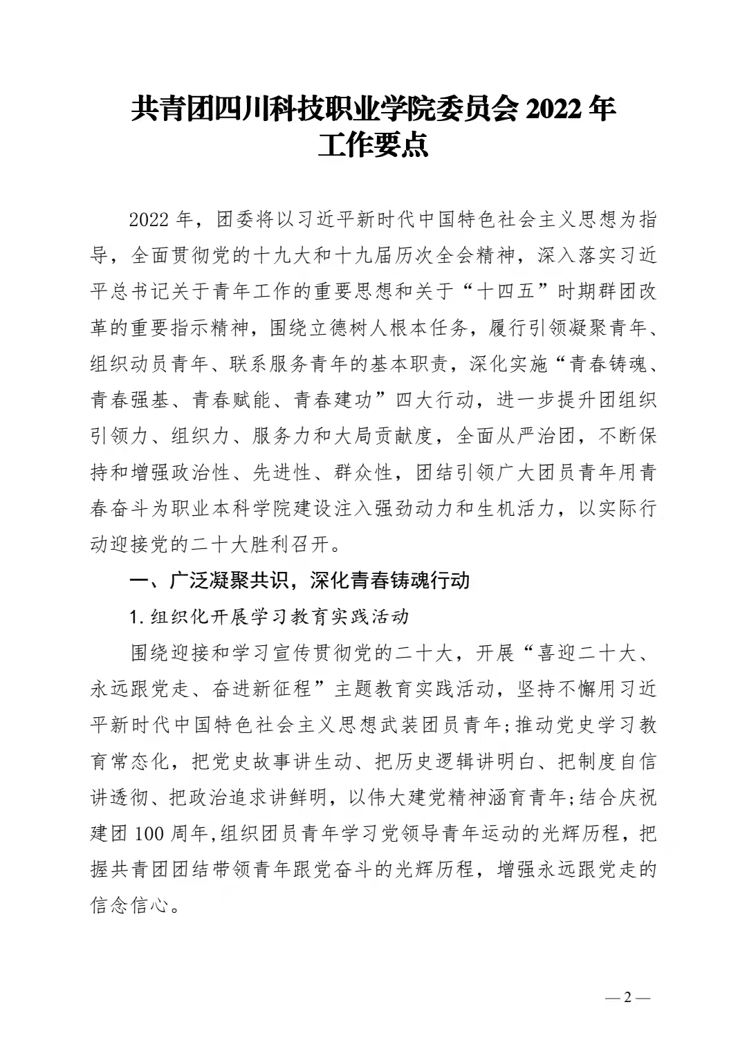 关于印发《共青团四川科技职业学院委员会 2022 年工作要点》的通知(图2)