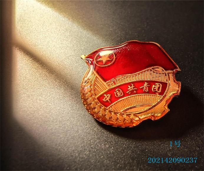 我校谷雨时代智慧建造学院团总支、学生会开展了“我和团徽有个约定”摄影比赛(图1)
