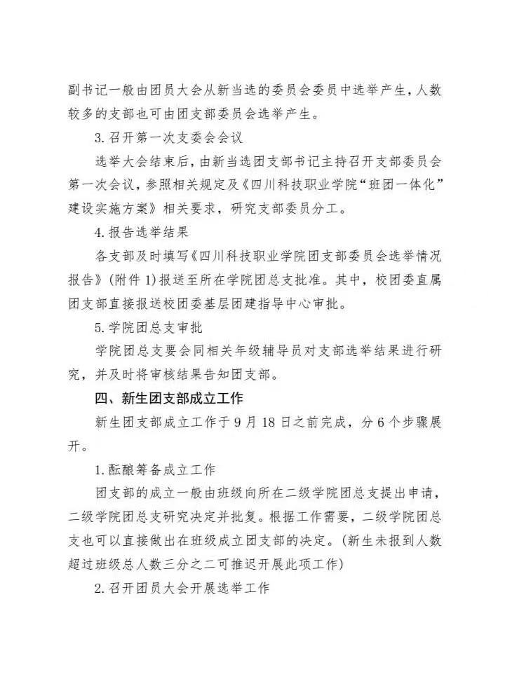 《关于做好2024-2025学年基层团支部换届选举暨新生团支部成立工作的通知》(图3)